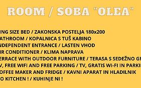 Apartment And Rooms Parus